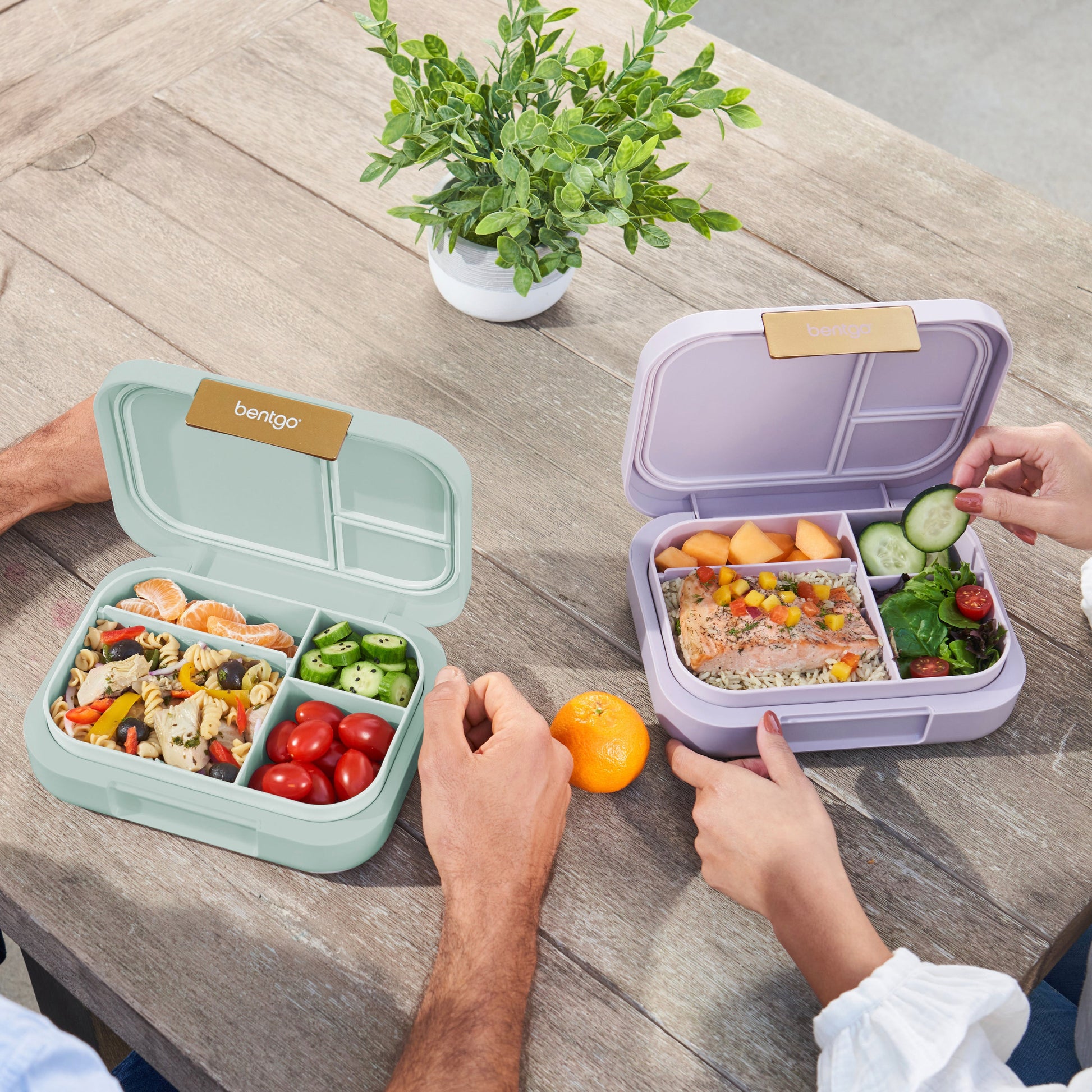 bentgo-modern-lunch-box-2-pack-p1 COSTCOBMCPRODUCTIMAGE_2.jpg